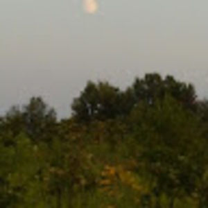 Meet your Posher, Kelley